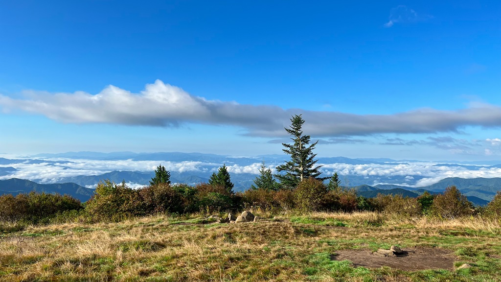 Andrews Bald with views of the Appalachian Mountains in the distance.