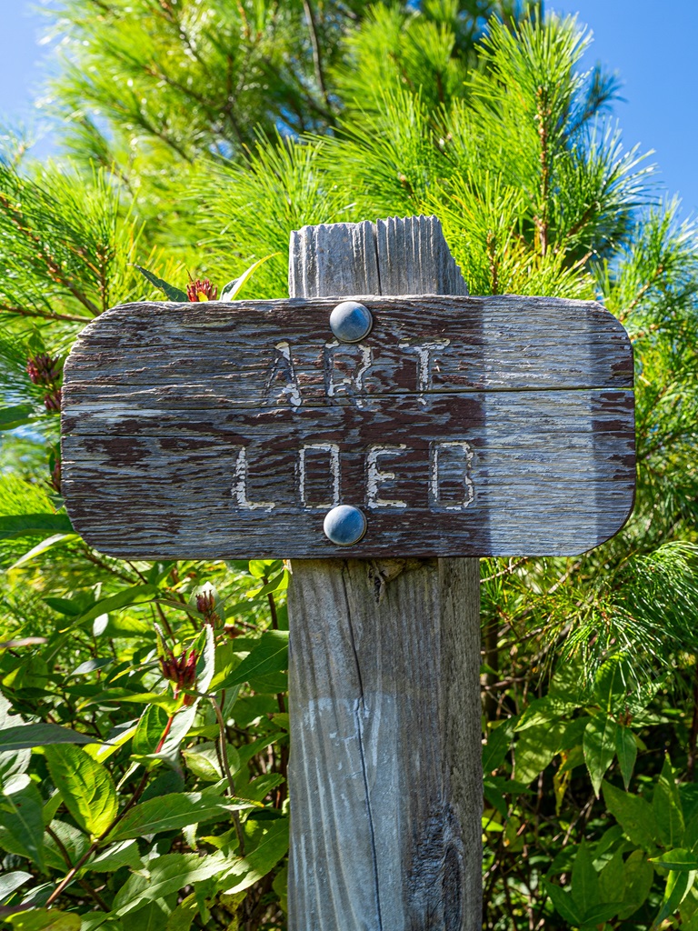 Art Loeb Trail sign.