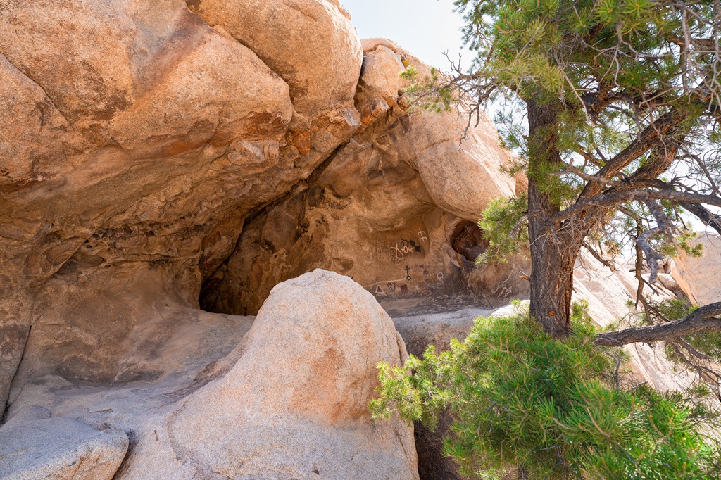 Petroglyphs along the Barker Dam Trail in Joshua Tree National Park.