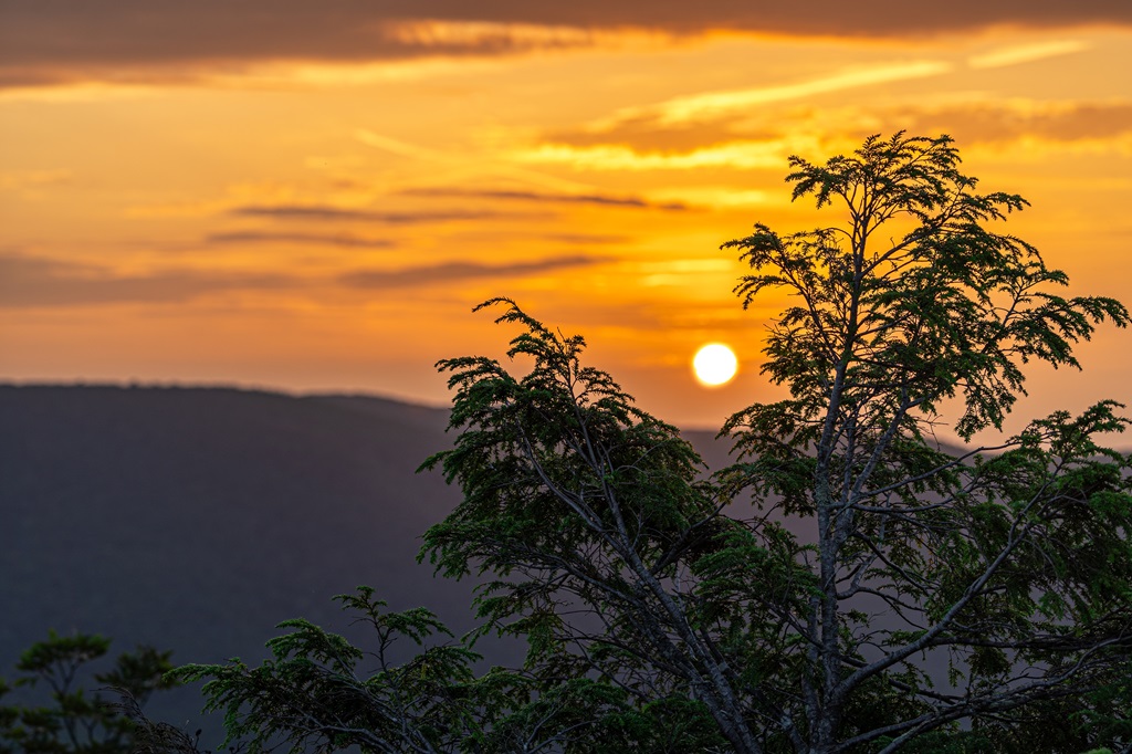 Watching sunrise from Bearfence Mountain in Virginia.