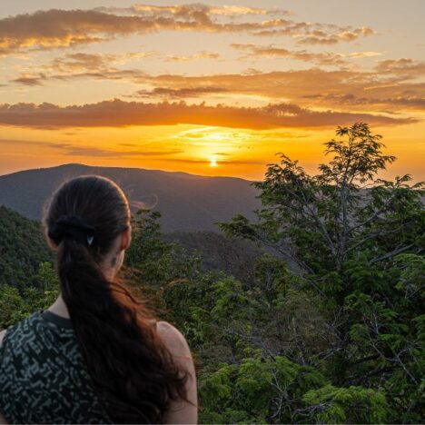 How to Hike Stony Man in Virginia [guide + tips]