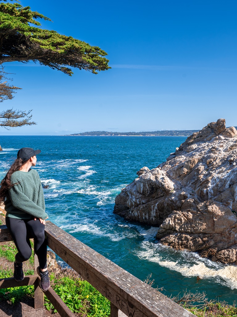 Overlook of Big Dome and Big Dome Cove along Point Lobos Loop.