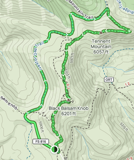 AllTrails Map of Black Balsam Knob and Tennent Mountain Loop hike.