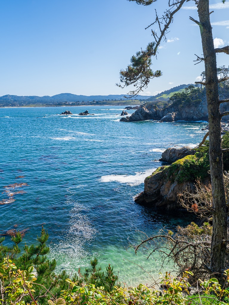 Views of Bluefish Cove along Point Lobos Loop.