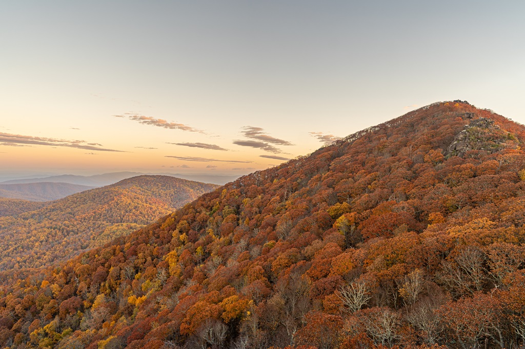 Stunning fall foliage seen from Buzzard's Roost on Sharp Top Mountain in Virginia.