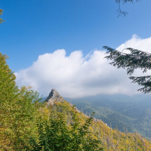 Hike Chimney Tops in Smoky Mountains: Beginner’s Guide