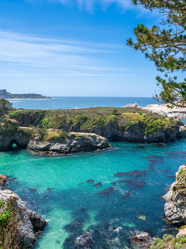 View of China Cove along Point Lobos Loop.