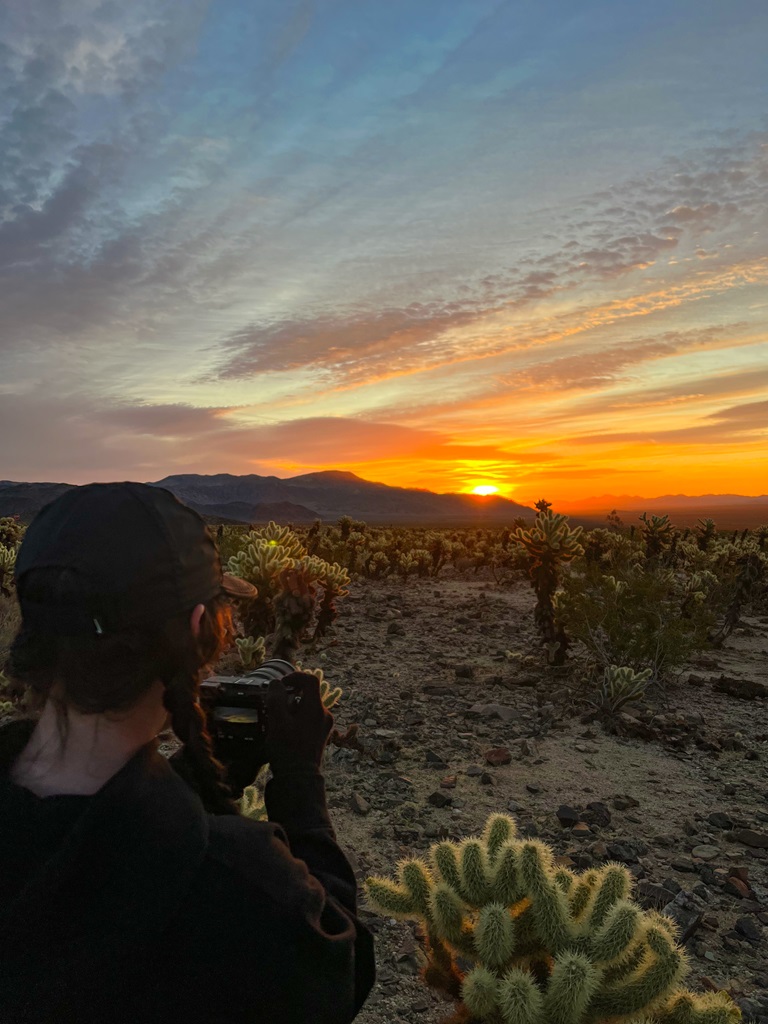 Woman taking a picture of the sunrise at Cholla Cactus Garden.