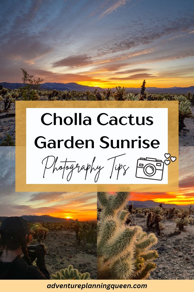 This blog post is about Cholla Cactus Garden sunrise and photography tips.