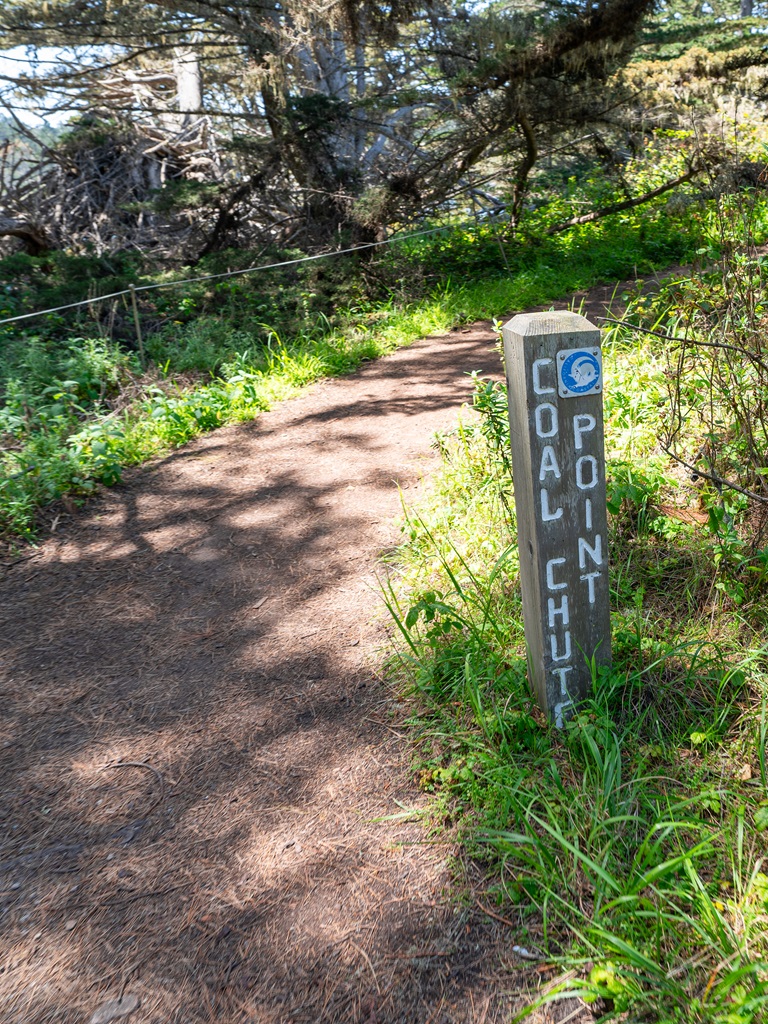 Trail sign for Coal Chute Point along Point Lobos Loop.