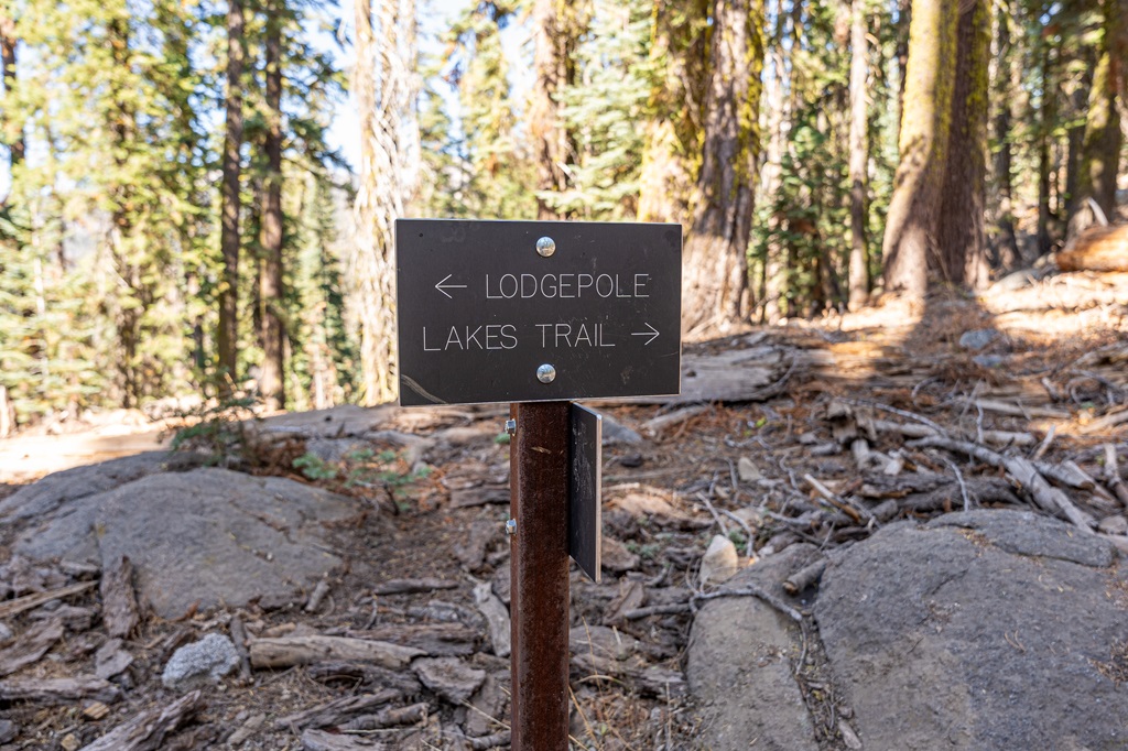 Trail sign with arrow pointing to the right towards Lakes Trail and another arrow pointing towards the left towards Lodgepole.