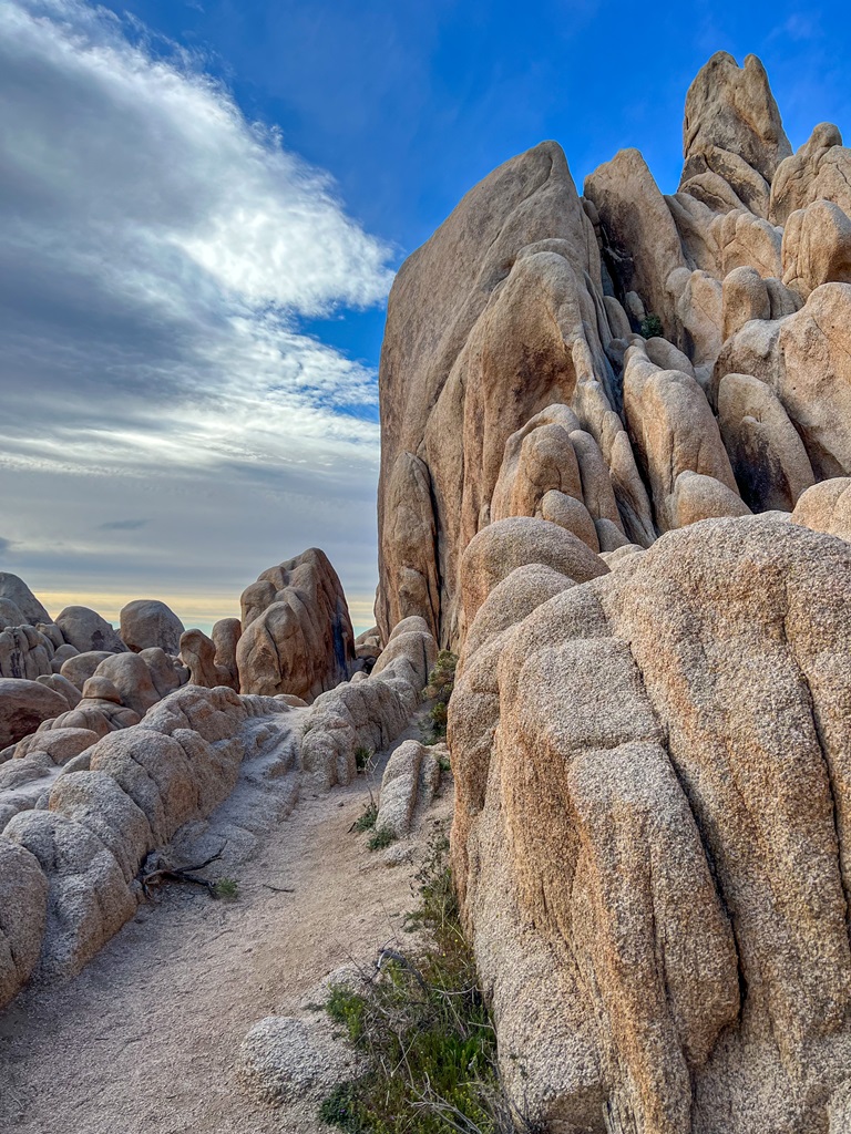 Boulder field beyond Arch Rock in Joshua Tree National Park.