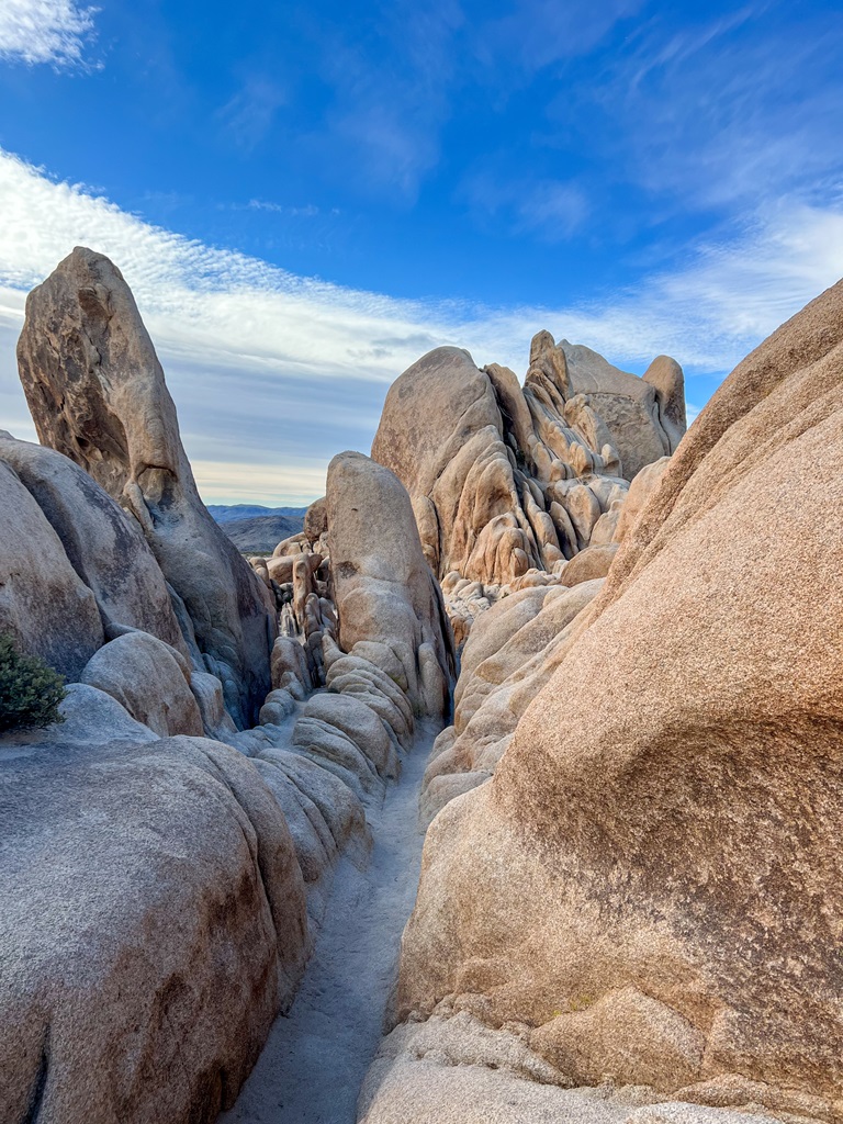 Boulder field beyond Arch Rock in Joshua Tree National Park.