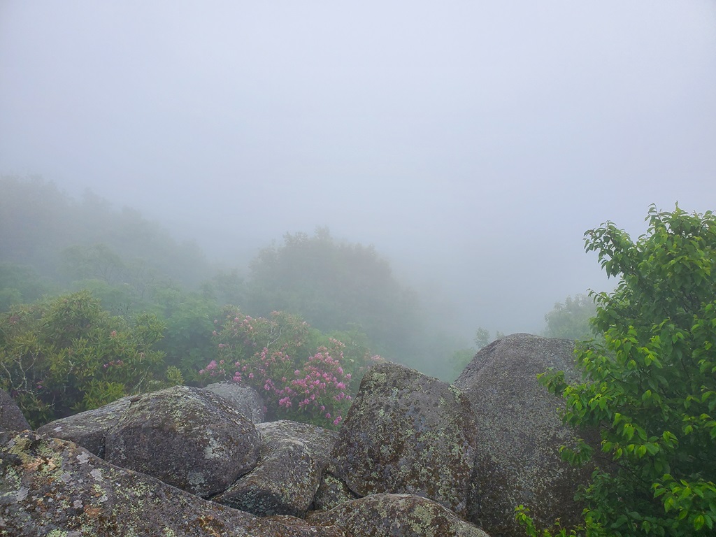 Foggy and rainy conditions at Flat Top Mountain in Virginia.