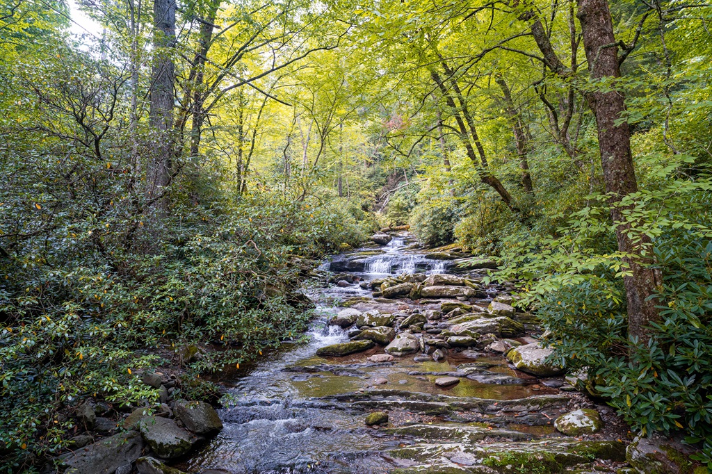 Cascades along the Chimney Tops Trail in Great Smoky Mountains.