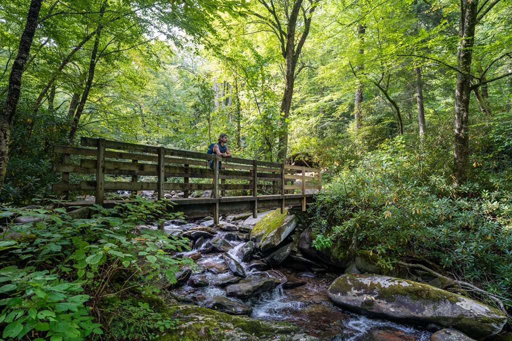 Man standing on a footbridge along the Chimney Tops Trail.