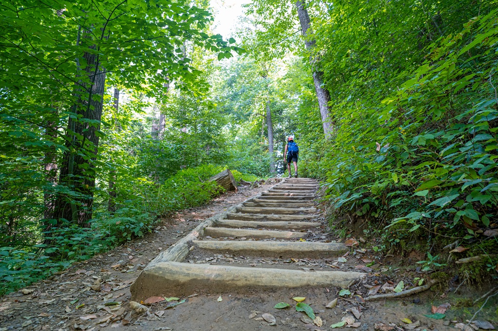 Man hiking up steps along the Trillium Gap Trail towards Grotto Falls.