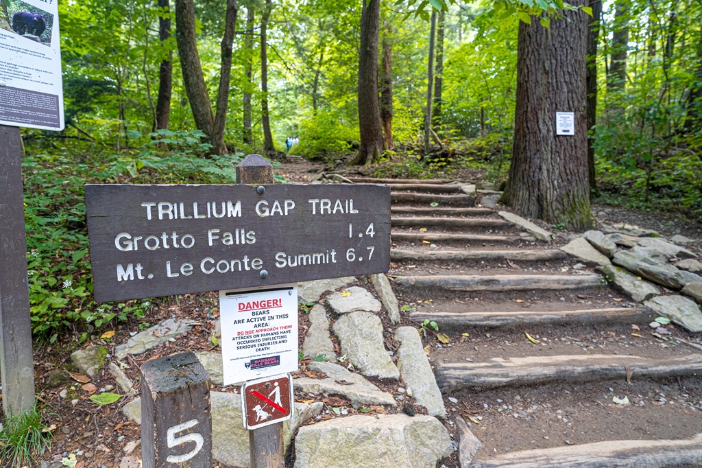 Grotto Falls Trailhead sign along the Roaring Fork Motor Nature Trail in Great Smoky Mountains National Park.