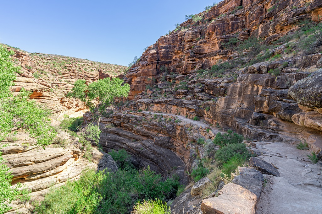 Bright Angel Trail in Grand Canyon National Park.