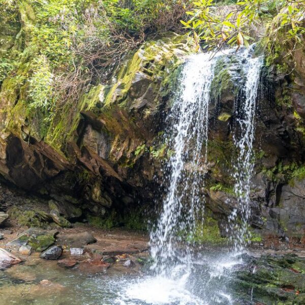 Grotto Falls: Must-see Waterfall in Smoky Mountains