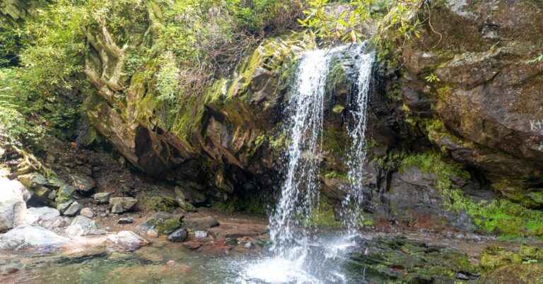 Grotto Falls Hike in Smoky Mountains (guide + tips)