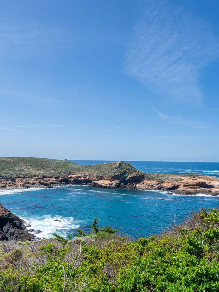 Headland Cove along Point Lobos Loop.