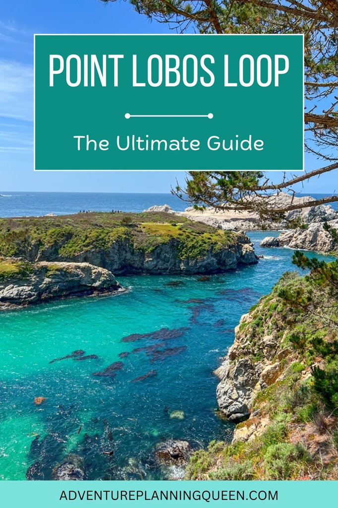 This blog post is a guide on how to hike Point Lobos Loop.