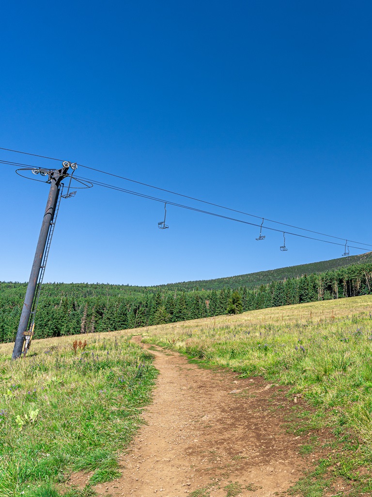 Humphreys Trail crossing a skin run in the summer at Arizona Snowbowl.