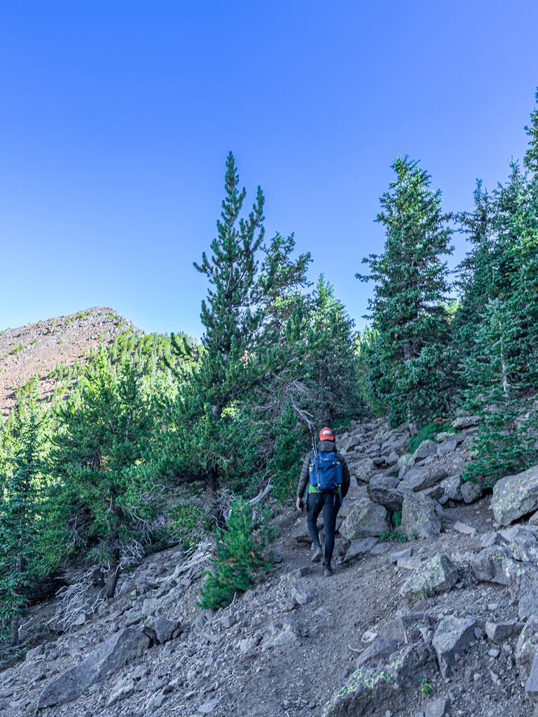 Man walking along Humphreys Trail with a view of Humphreys Peak in the distance.