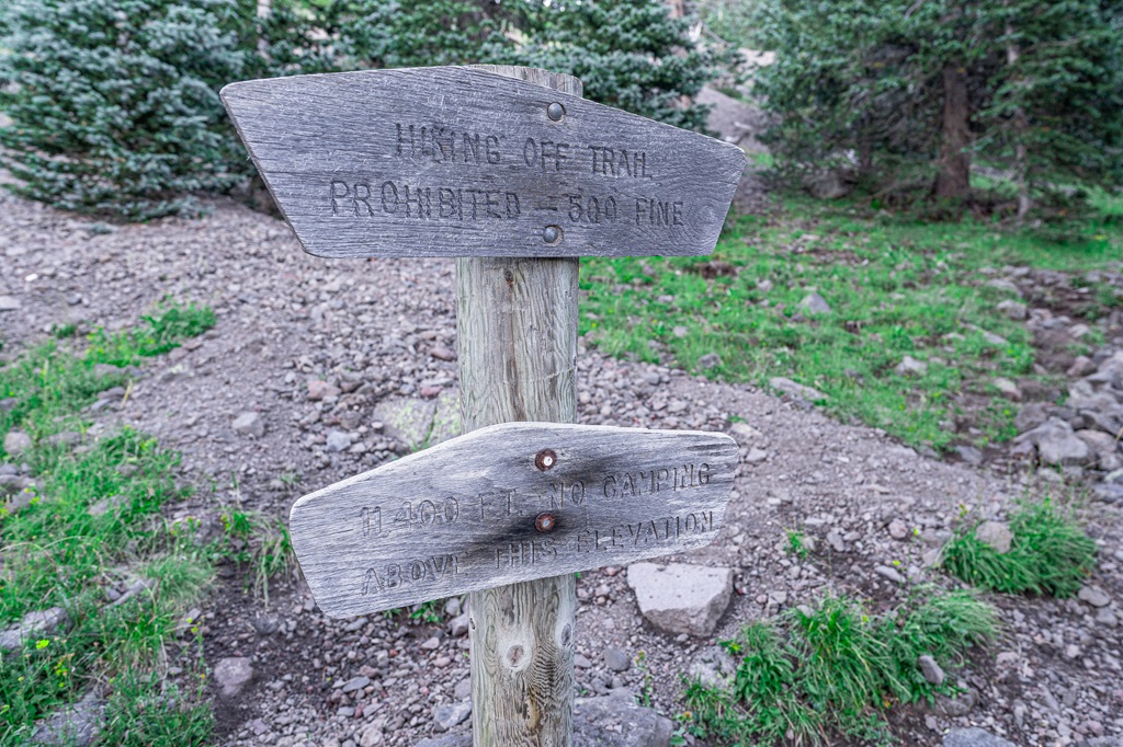 Trail sign indicated the elevation is 11,400 feet and camping is prohibited above this elevation.