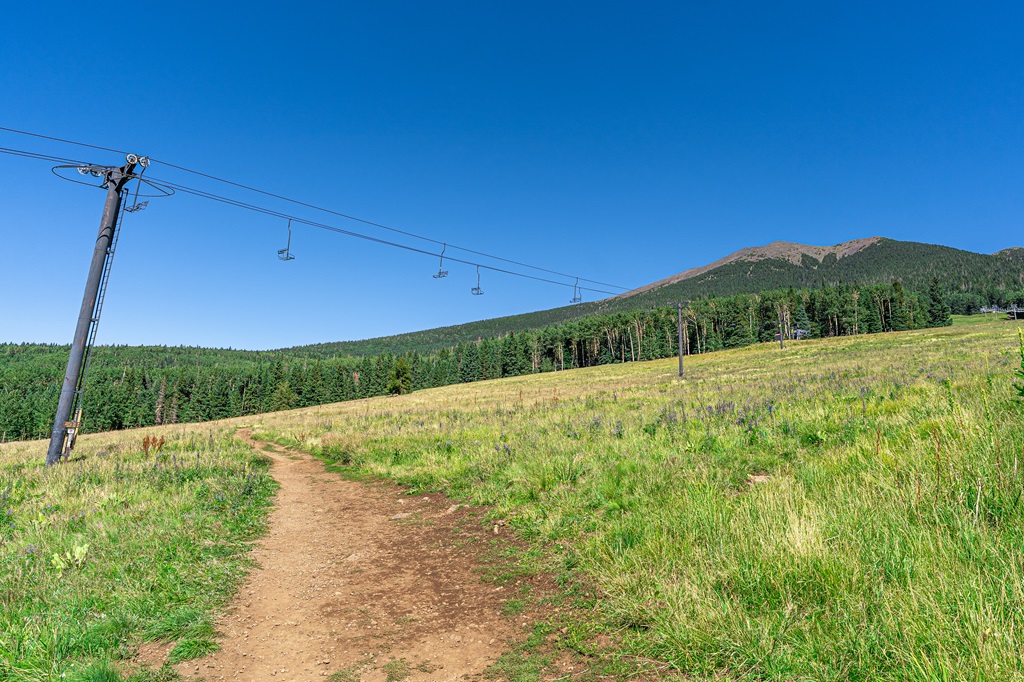 Humphreys Trail crossing a skin run in the summer at Arizona Snowbowl.