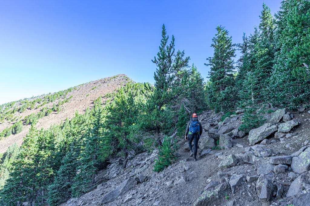 Man walking along Humphreys Trail with a view of Humphreys Peak in the distance.