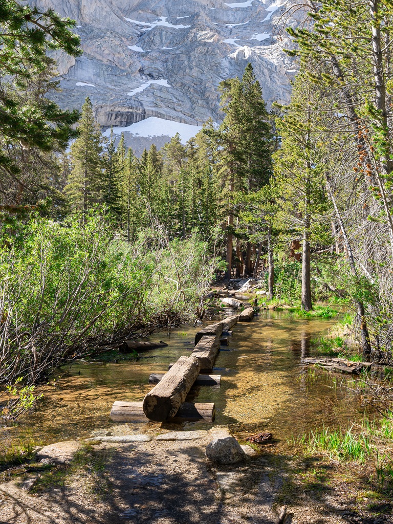 Log bridge over Lone Pine Creek along the Mt. Whitney Trail.