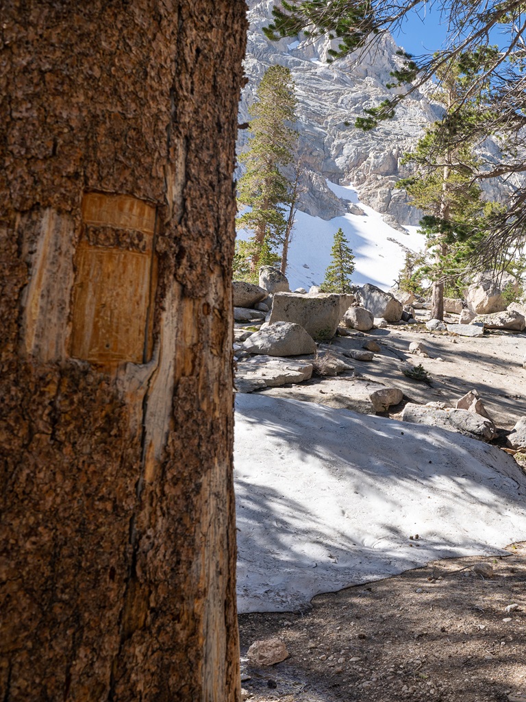 Trail marker along the Mt. Whitney Trail.