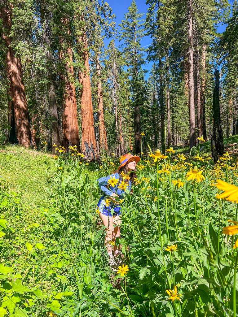 Woman sniffing flowers in Mariposa Grove in Yosemite National Park.