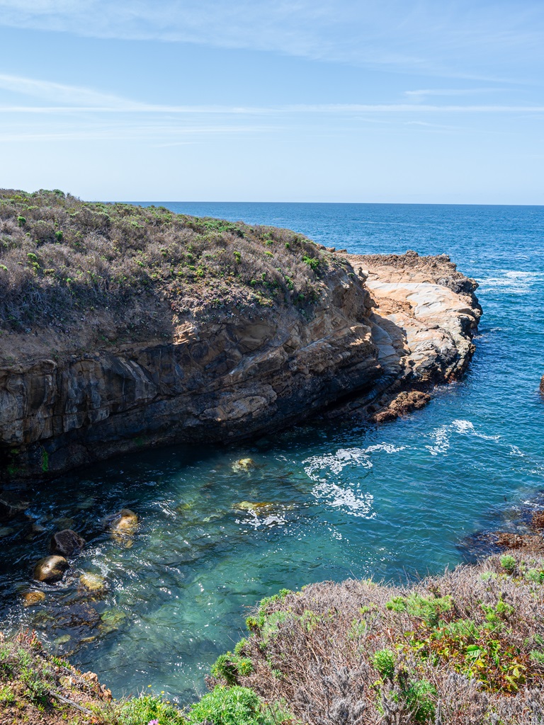 Views of Sand Hill Cove along Point Lobos Loop.