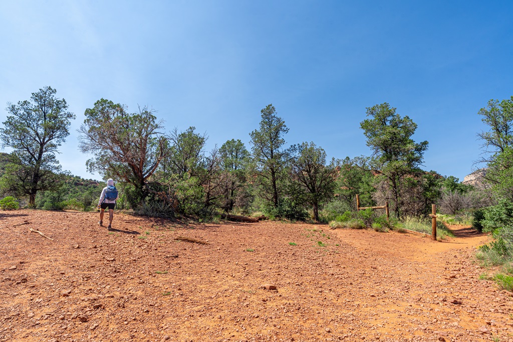 Man hiking towards a trail to the left at a junction in the trail towards Birthing Cave.