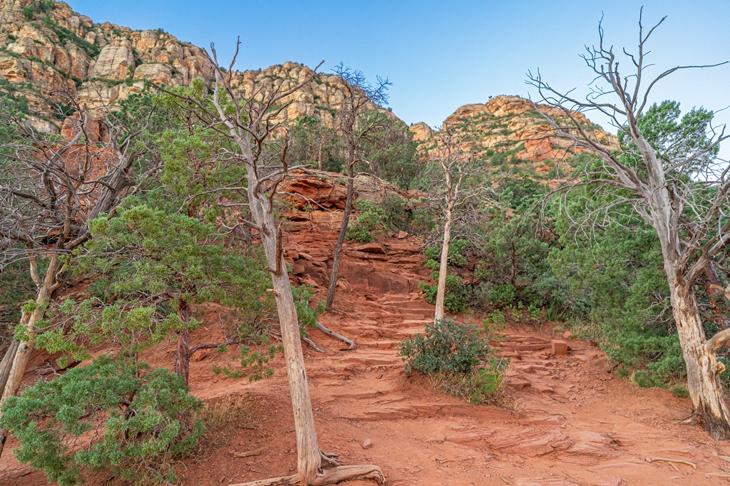 The trail to Devil's Bridge with a series of rocky steps.