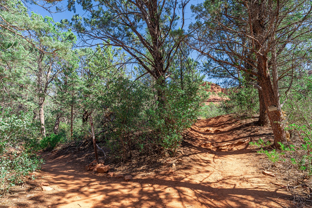 Trail junction where the right spur trail leads to the Soldier Pass Cave and the left trail continues along the Soldier Pass Trail.