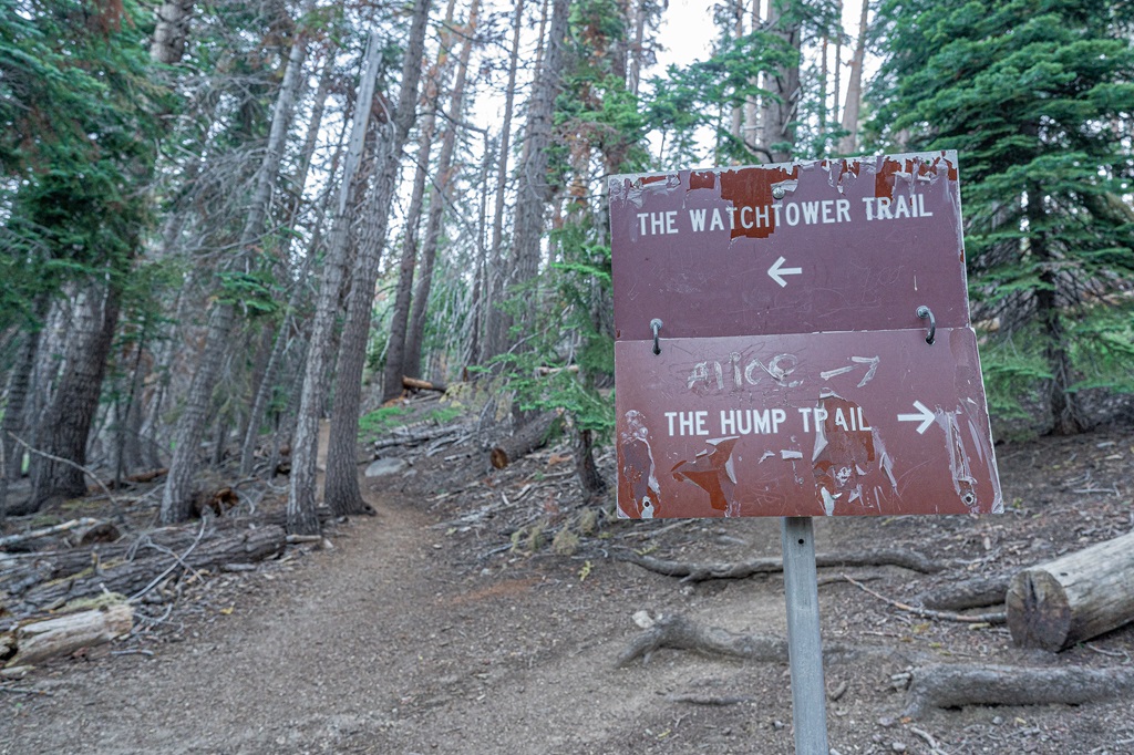 Trail sign with arrow pointing to the left towards The Watchtower Trail and arrow pointing to the right towards The Hump Trail.