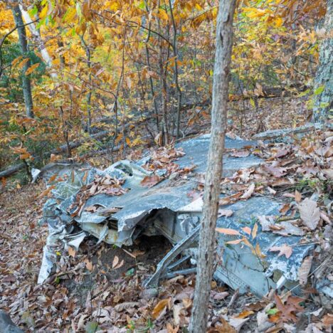 Hiking Sharp Top in Virginia: A Complete Guide