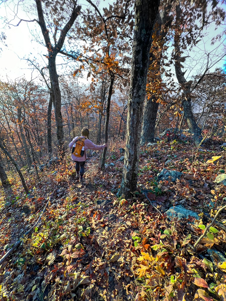 Woman hiking to B25 bomber plane crash site on Sharp Top Mountain Virginia.