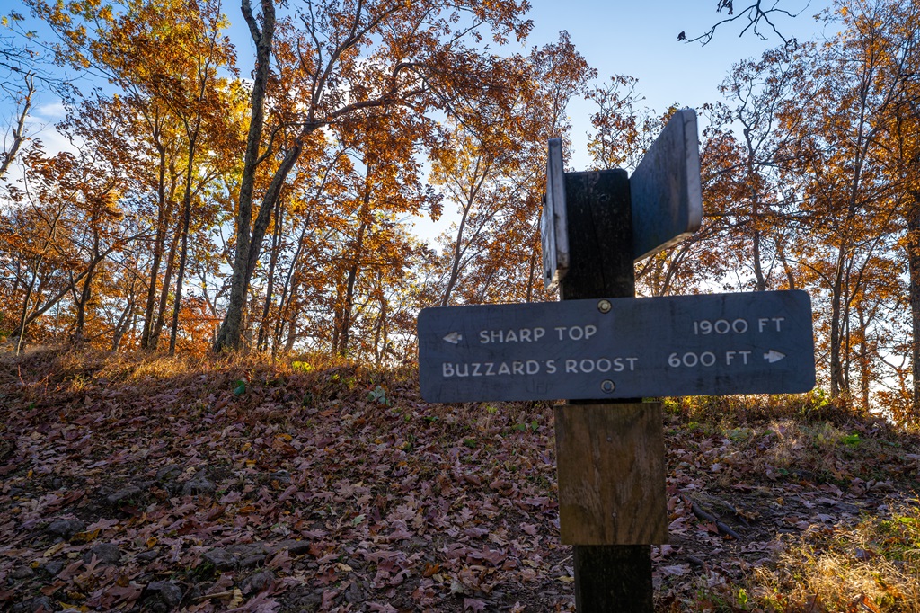 Trail sign with arrow pointing to the left for summit of Sharp Top and arrow pointing to the left for Buzzard's Roost.