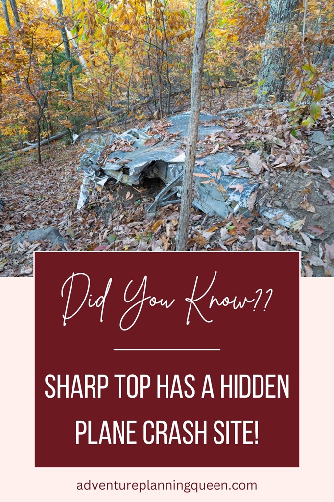 This blog post is about the Sharp Top Mountain plane crash.