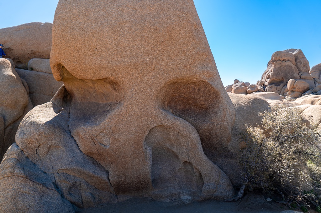 Skull Rock located in Joshua Tree National Park.