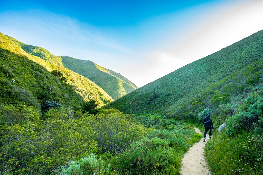 Man walking along the Soberanes Canyon Trail in Garrapata State Park.