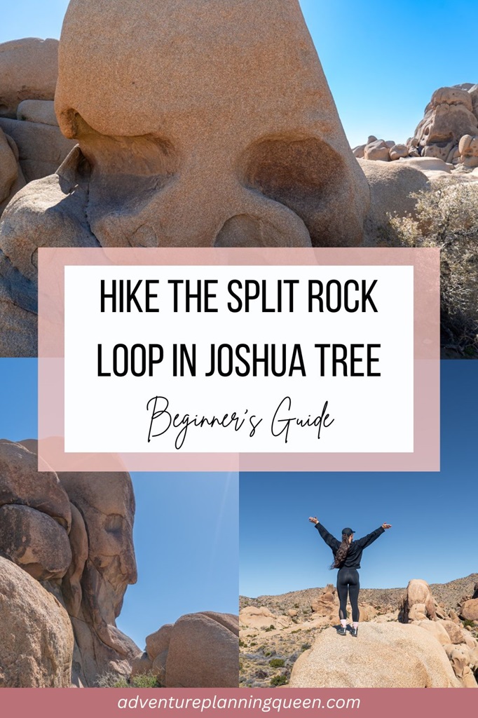 This blog post is a beginner's guide on how to hike the Split Rock Loop in Joshua Tree National Park.