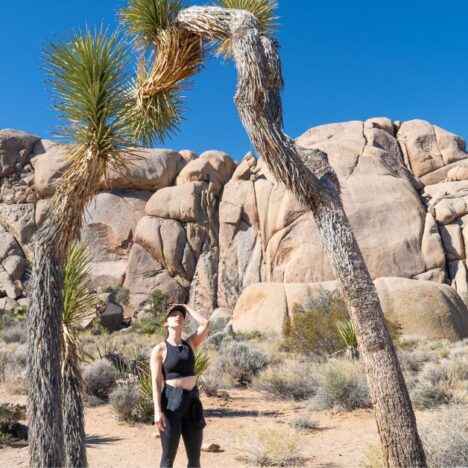 Wall Street Mill: Historical Hike in Joshua Tree