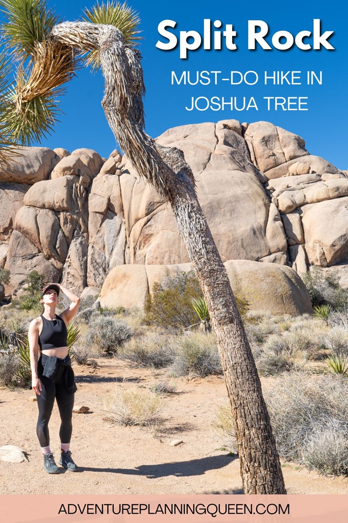 This blog post is about hiking the Split Rock Trail which is a must-do hike in Joshua Tree National Park.