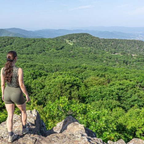 Hike Bearfence Mountain in Virginia: Beginner’s Guide